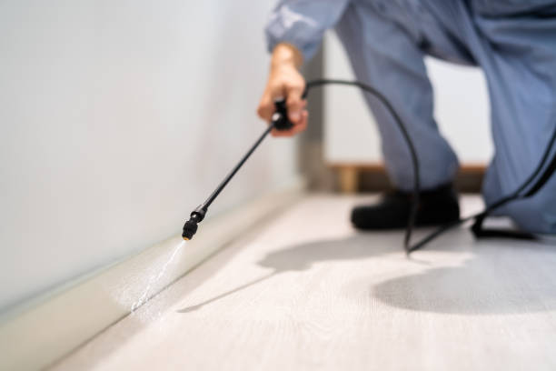 Rodent Entry Point Assessment in Princeton Meadows
