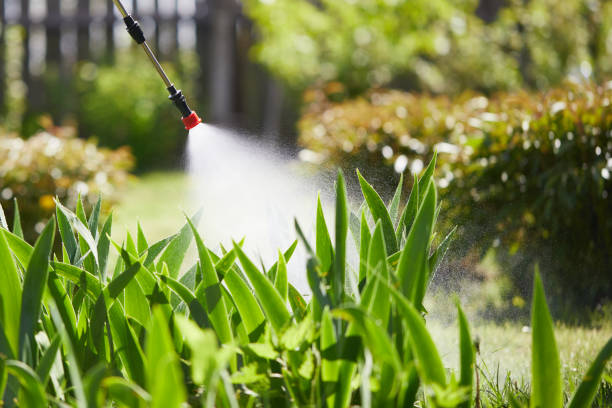 Tamper-Resistant Bait Stations for Rodents in Princeton Meadows