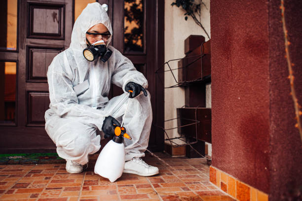 Attic and Crawl Space Rodent Treatment in Princeton Meadows