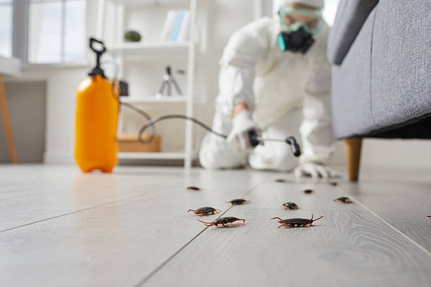 Commercial Rodent Management in Princeton Meadows